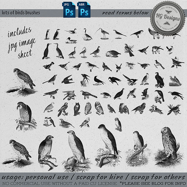 https://cesstrelle.files.wordpress.com/2014/12/hg-lotsofbirds-previewblog.jpg?w=652